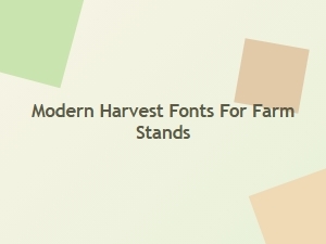 Modern Harvest Fonts for Farm Stands